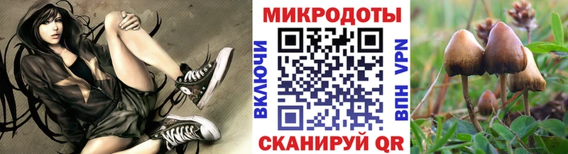 где купить наркоту  Губкинский  ОМГ ОМГ зеркало  Галлюциногенные грибы прущие грибы 
